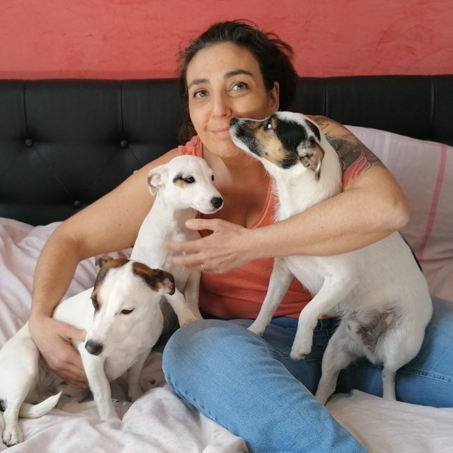 La mignonnerie du soir 🥰 7