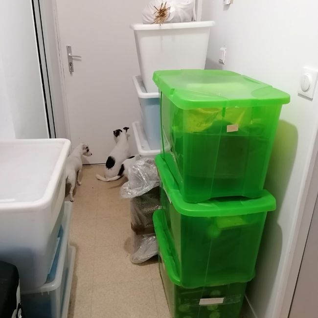 Le pdd ! 🌈 (point du dimanche) 2