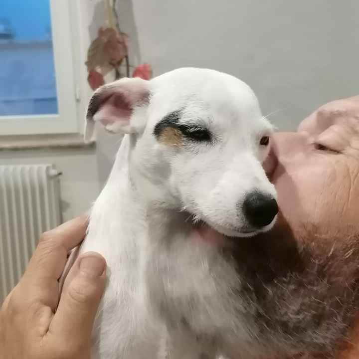 La mignonnerie du soir 🥰 - 2