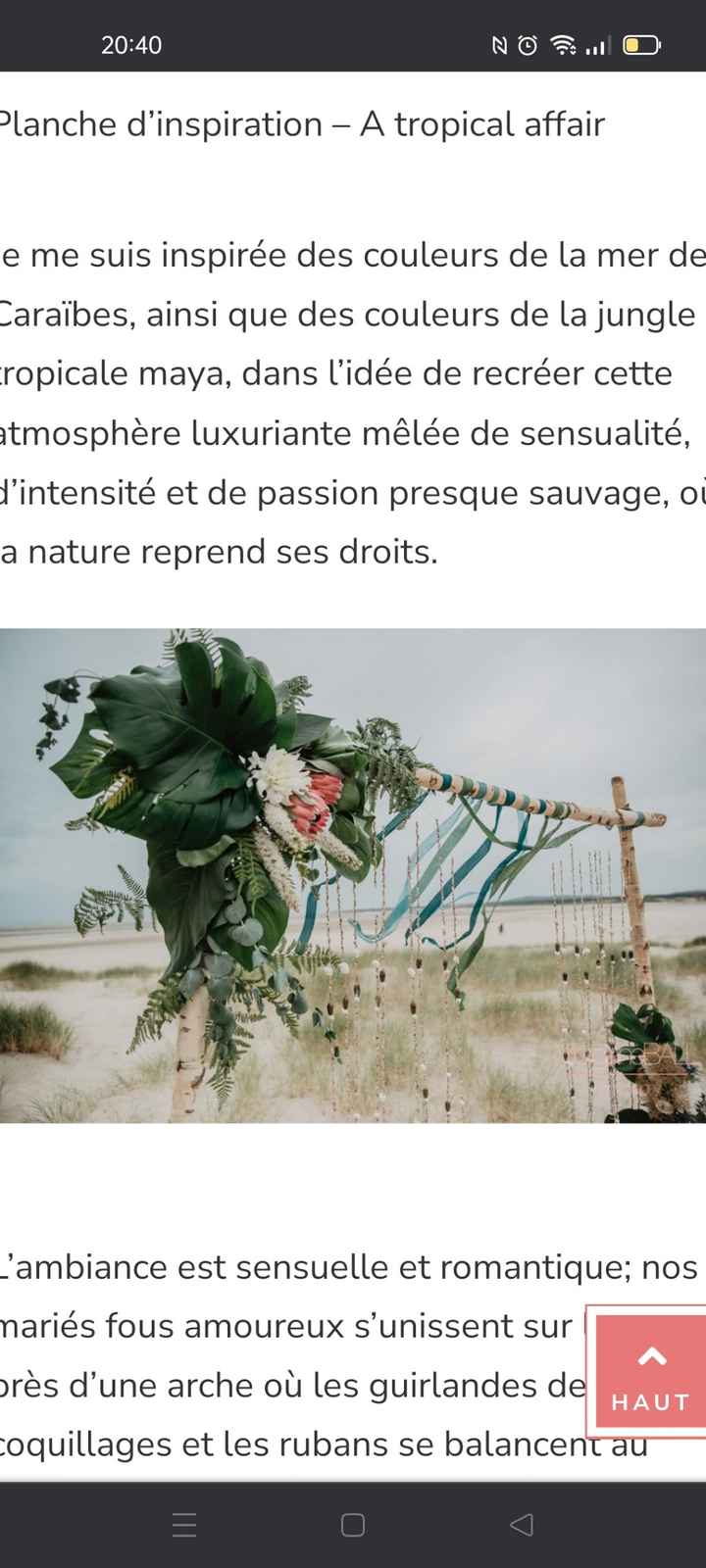 Me revoilà ! Des idées ? Thème tropical et halloween. - 3