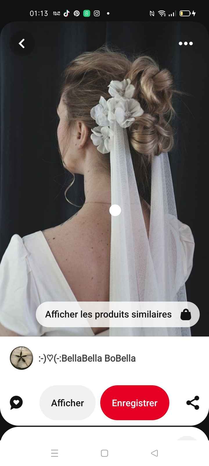 Envie d'un voile de mariée - 1