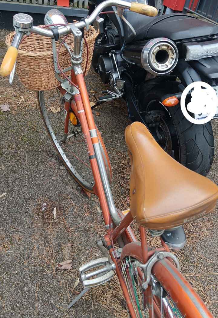 Récupération d'un vieux vélo - 1