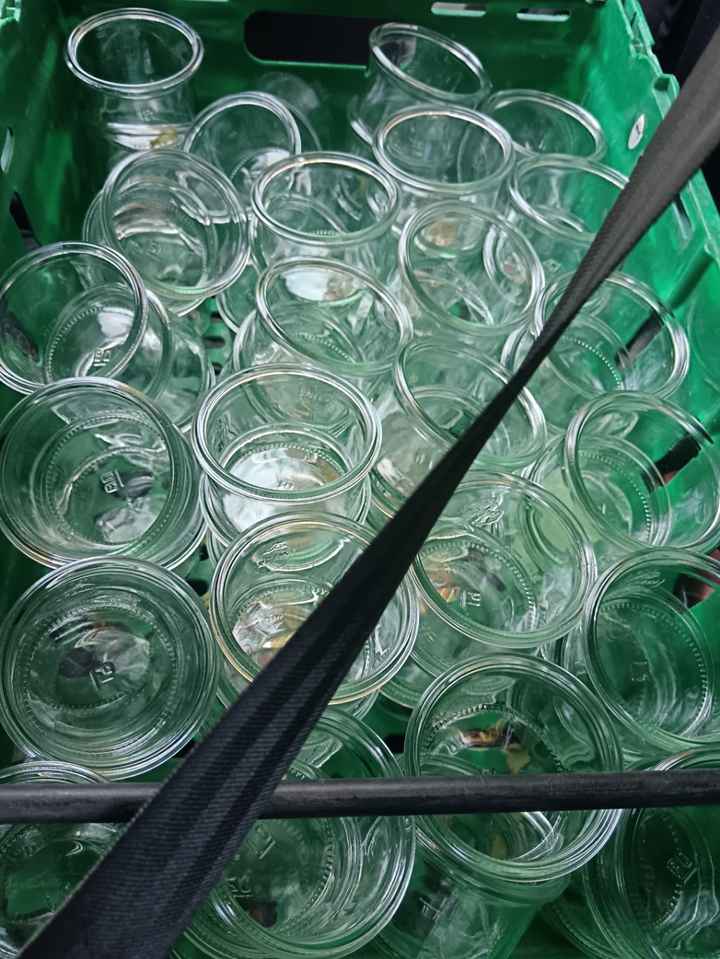 Que d'avancées ! Fête de mariage guinguette 😊 - 15