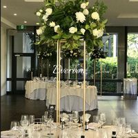 Voici ce que je recherche