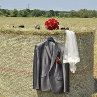 Photo du photographe