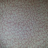 Nouvelle mariée pour juillet 2016 - 6