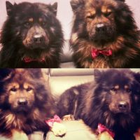 Soyons fou ! lucky aura son costume. - 1