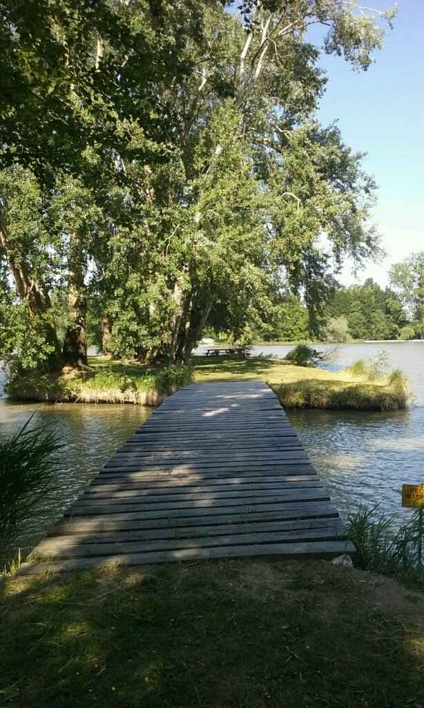 Nous nous marions le 28 Mai 2016 - Nord - 1