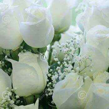 Mariage bicolore : rose et blanc - 4