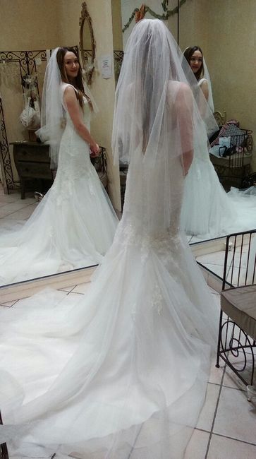 Pour vous ce sera combien de robe ? - 2