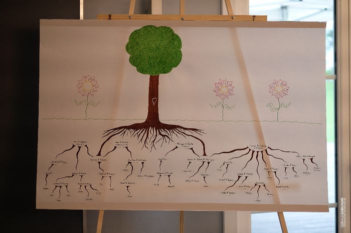 Arbre généalogique