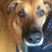 Et Vos Loulous quels places auront ils ? - 2