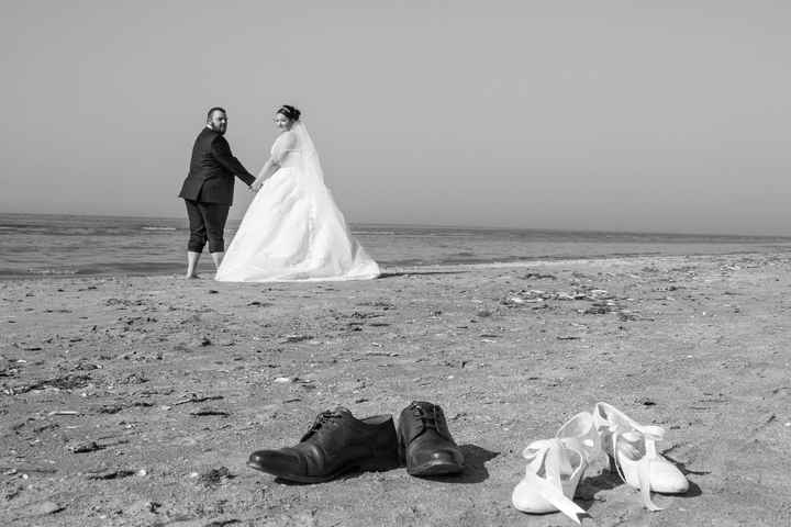 Trash the Dress