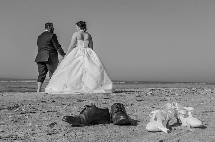Trash the Dress