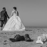Trash the Dress