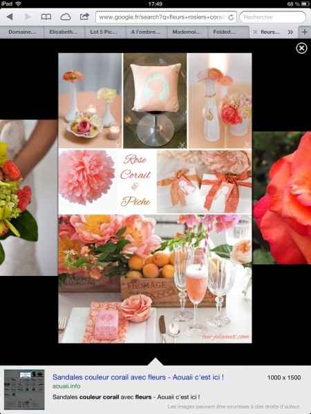 Couleur corail