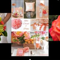 Couleur corail