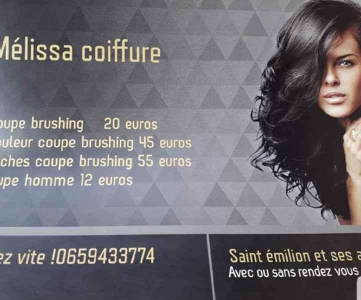 Mise en beauté près de Libourne/saint Emilion - 1