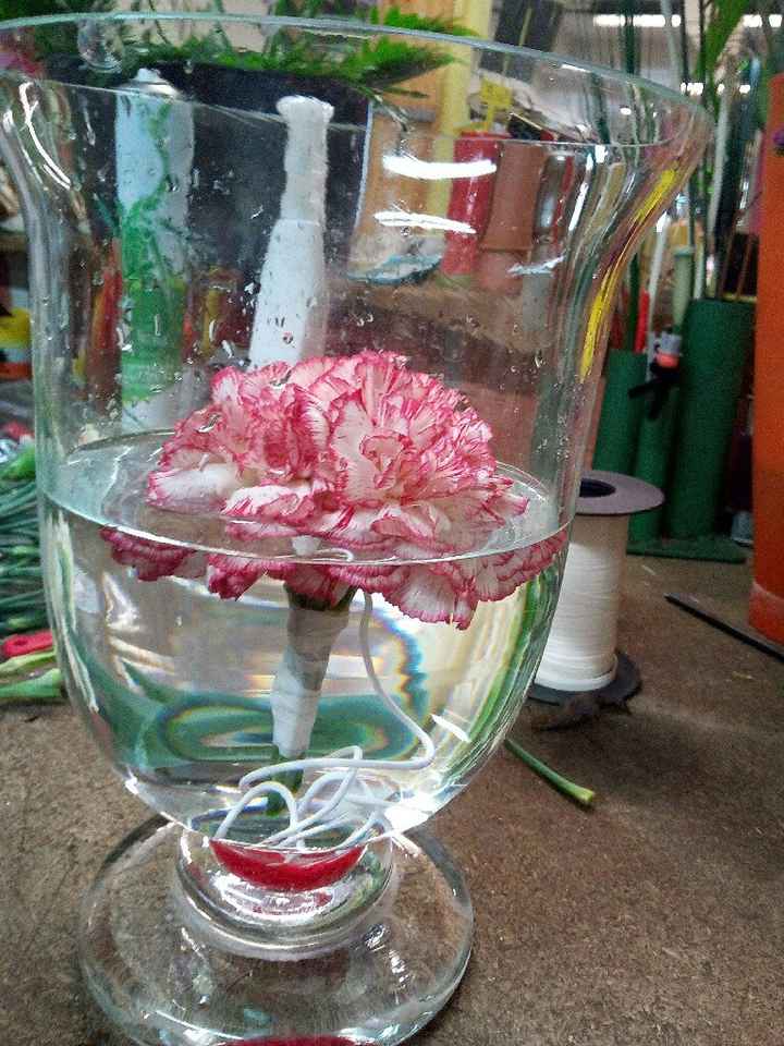 Tout en gypsophile - 1