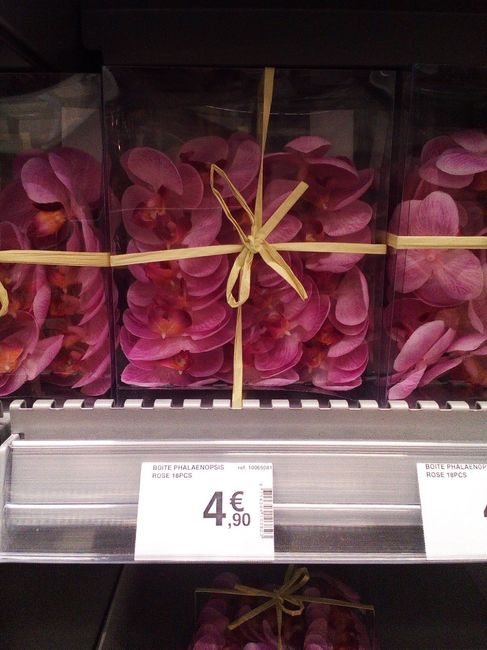 avis fleurs orchidées