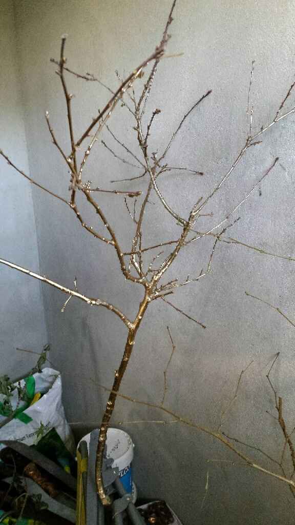 Mais ou trouver ça? - 1