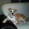 Charlene