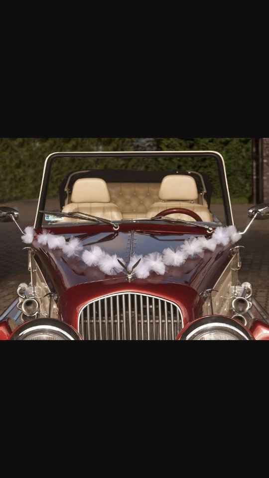 Help décoration voiture - 2