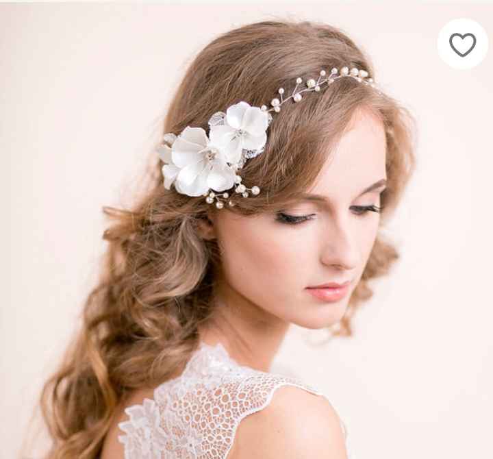 Vigne de cheveux - 1