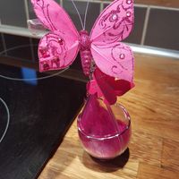 Montrez moi vos créations de dragees dans des gouttes en plexi - 1