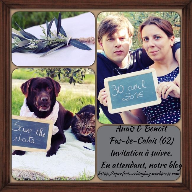 A quoi ressemblent vos "save the date" ? - 1
