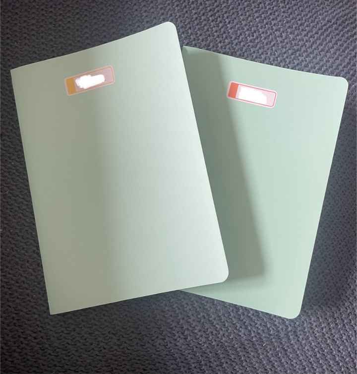 Carnets témoins - 1