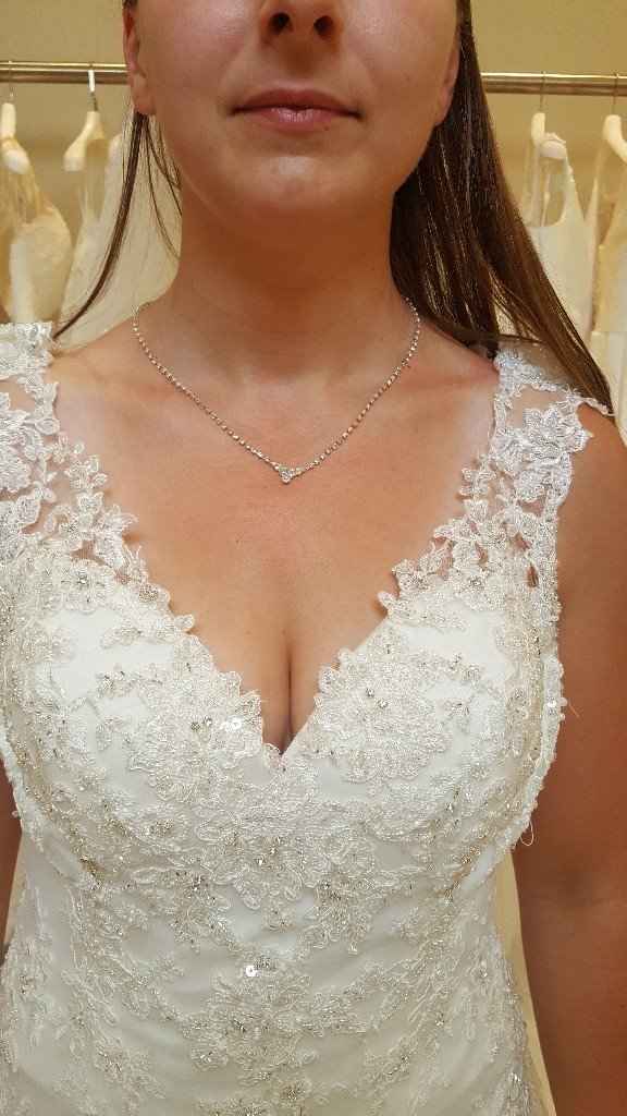 Quel collier? - 1