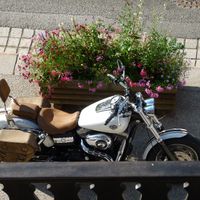 HARLEY MORZINE'DAYS 2015