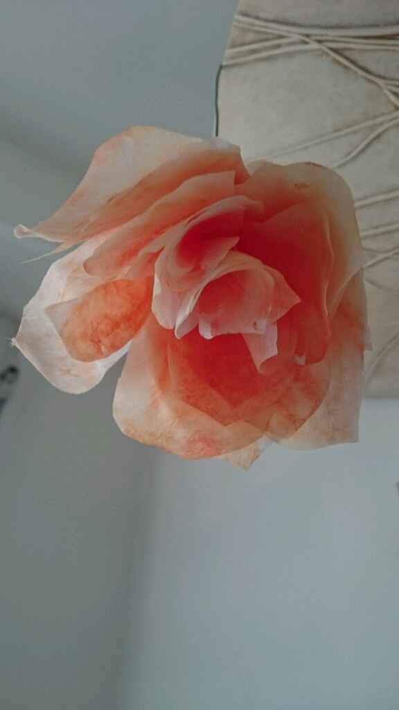 Premier essai roses filtre à cafe - 3