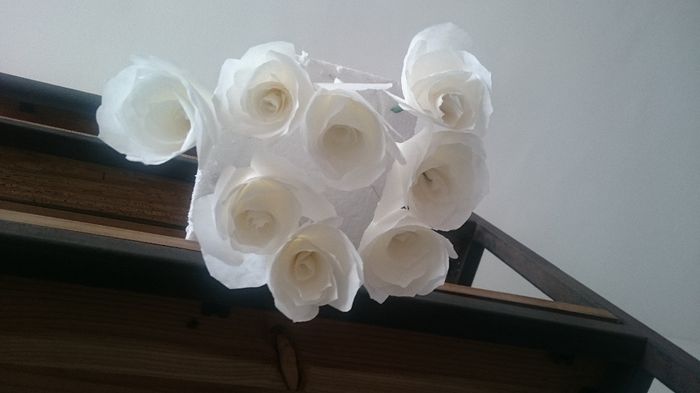 fleurs en attente d'être colorées et ouvertes 