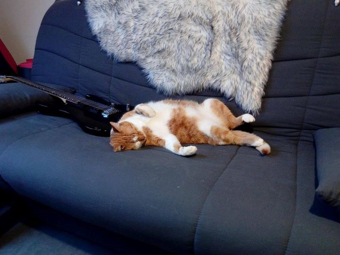 Mon Marius 