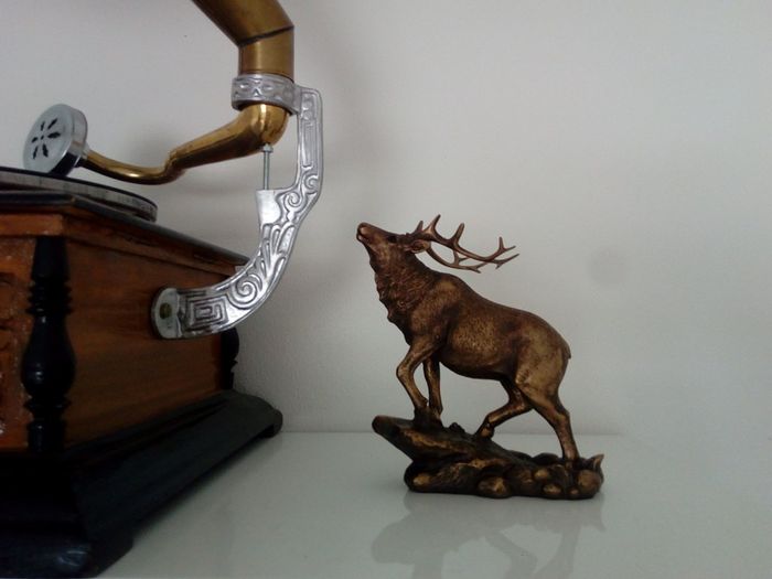 Bronze de cerf, en déco dans le club house écossais