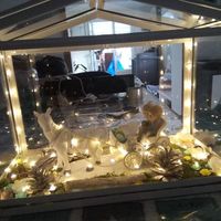 diy pendant le confinement - 1