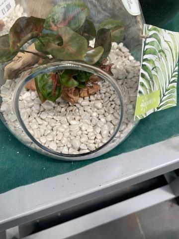 Pierres Vase - 1