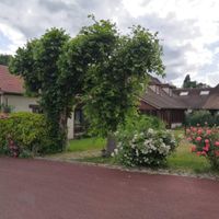 Avis taille de salle - 1