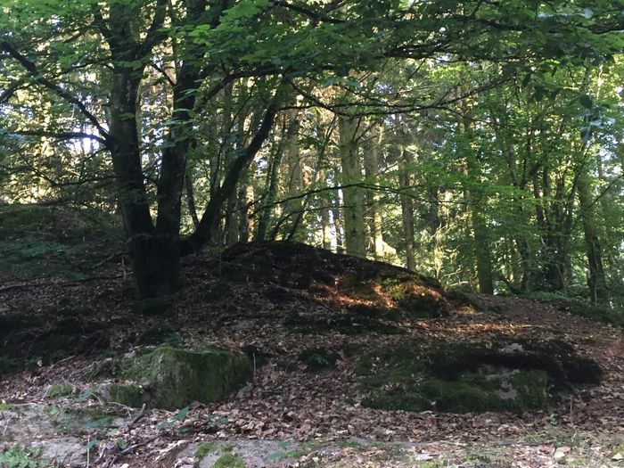 Problème technique - 2