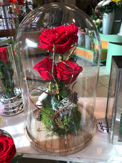 Cloches en verre, qu'en faire ? 3