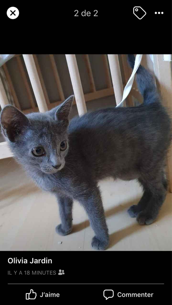 Un grand oui le 9 mai 2020 - 13