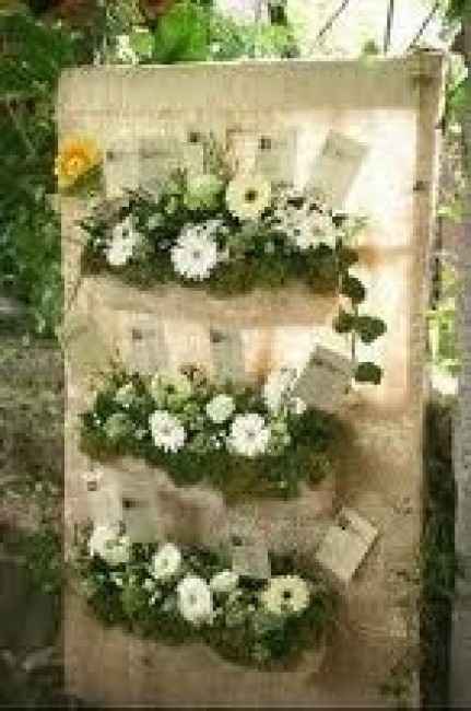 Un petit brin d'herbe !!