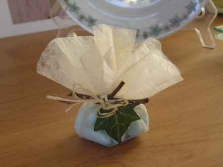 Dragées avec de la toile d'hiver