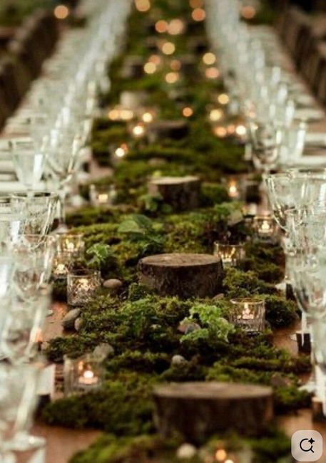 Question Déco mousse naturel et assiettes 1