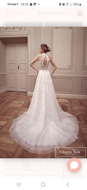 Quelle coiffure serait la plus appropriée pour ma robe? 2