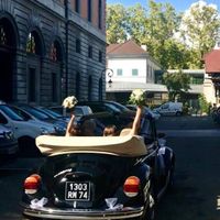 Nous sommes mariées - 6