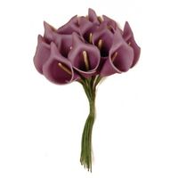 Arum violet