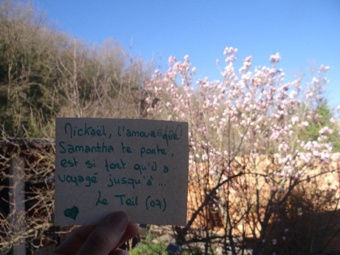 voila j'espere que ca te va .. :) Pourrais tu m'en faire une également stp :    "Mehdi l'amour que t